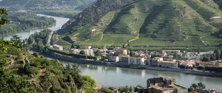 colline de l hermitage rhone vignobles et vignes nicolas tracol dlu 2022 1800x760x1
